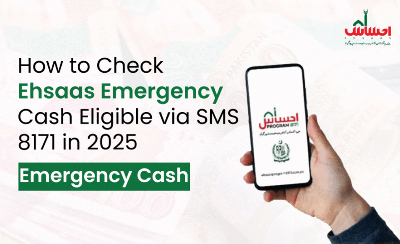 How to Check Ehsaas Emergency Cash Eligibility via SMS 8171 in 2025 