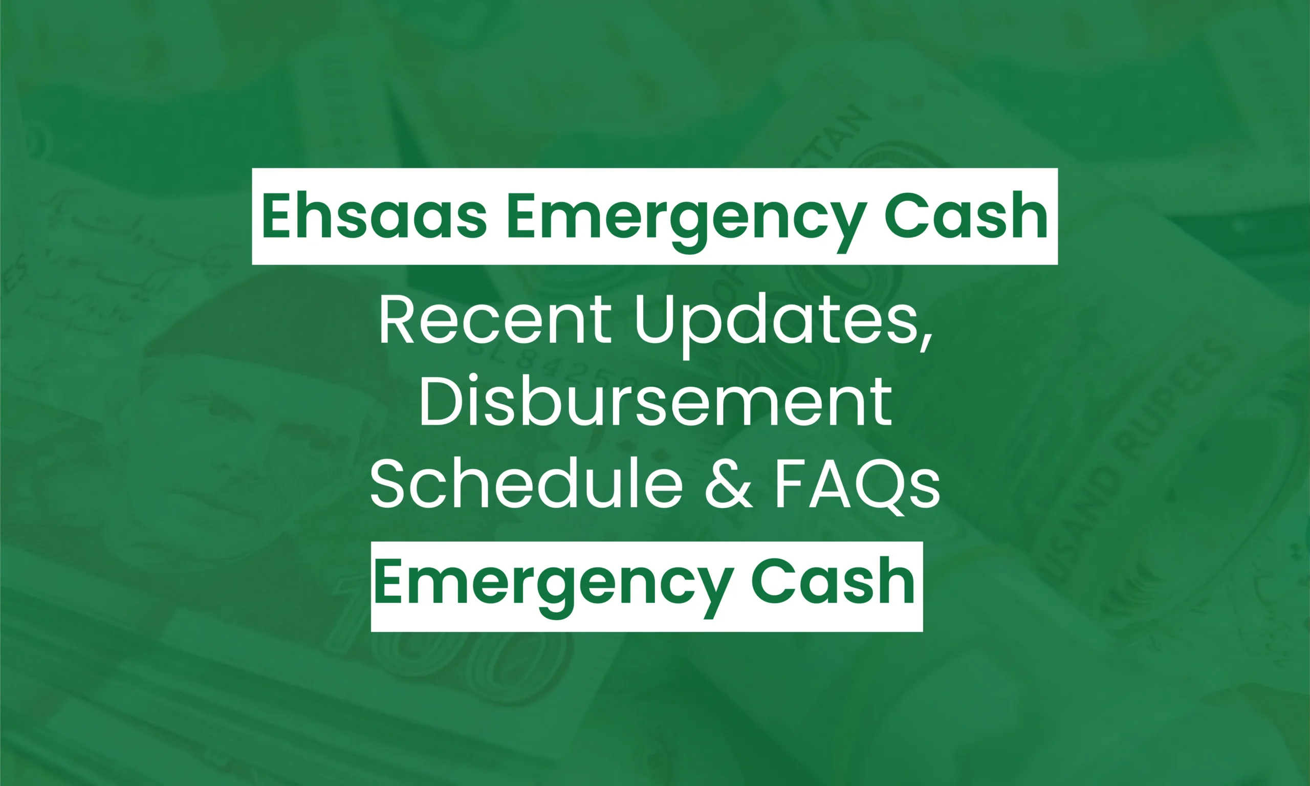 Ehsaas Emergency Cash: Complete Guide to Updates and Payments