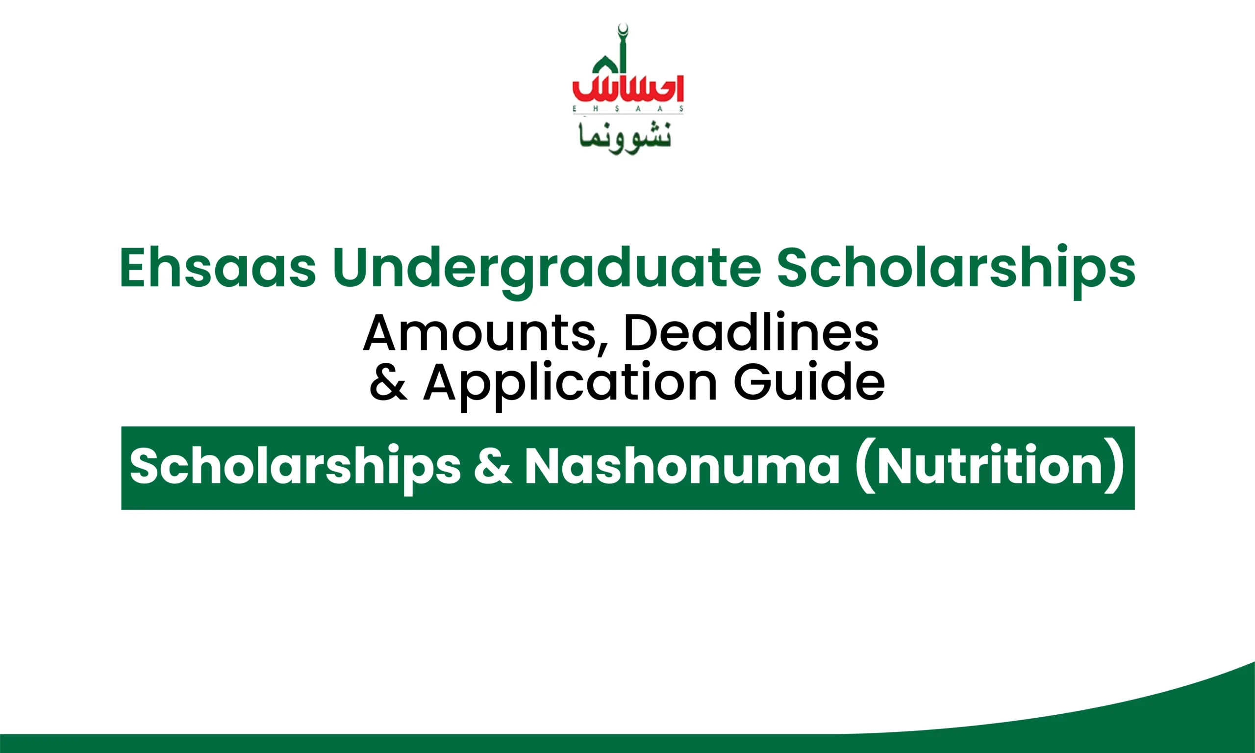 Ehsaas Undergraduate Scholarships: Your Complete 2025 Guide